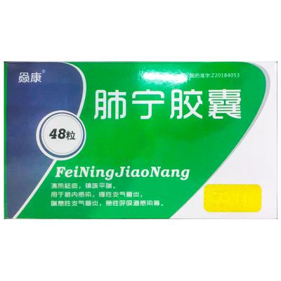 肺宁胶囊