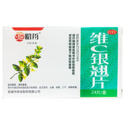 维C银翘片