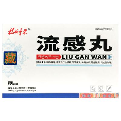 流感丸