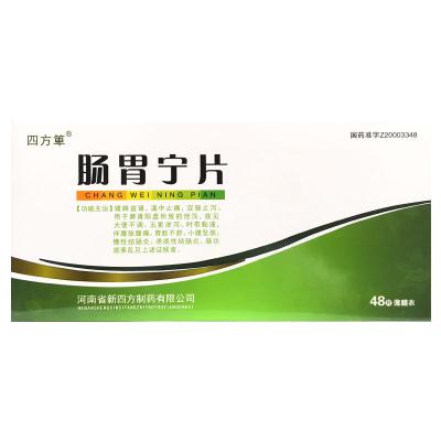 肠胃宁片