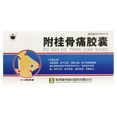 附桂骨痛胶囊