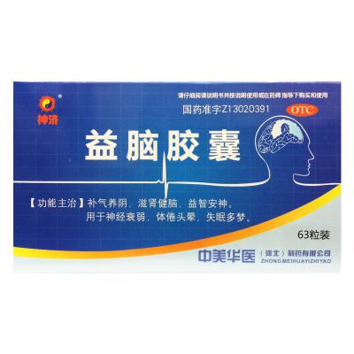 益脑胶囊
