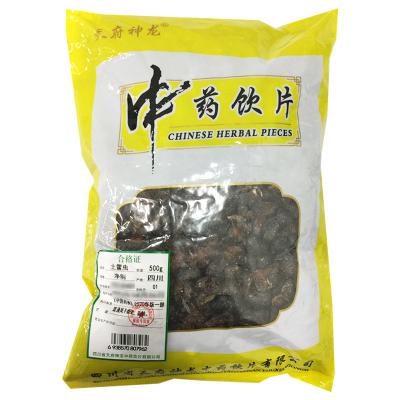 土鳖虫