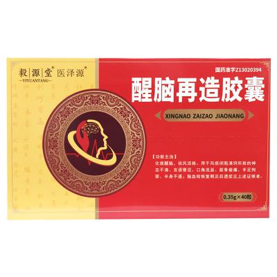 醒脑再造胶囊