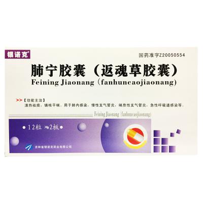 肺宁胶囊