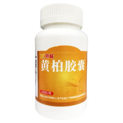 黄柏胶囊