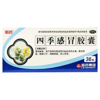 四季感冒胶囊