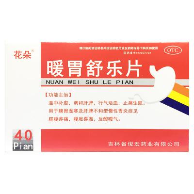 暖胃舒乐片