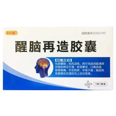 醒脑再造胶囊