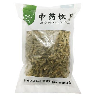 炒僵蚕